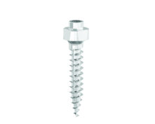 MINI VIS POUR TADs INTEGRAL 2TPS CHIRG. TADs D2 D2 L9mm (x1)