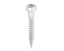 MINI VIS POUR TADs INTEGRAL 1TPS CHIRG, TADs INTEGRAL D2 8mm (x2)
