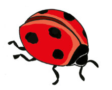 SILHOUETTES COCCINELLE  P/PLAQUES (x10)